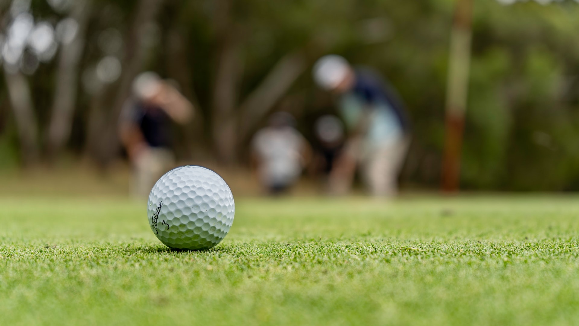 You are currently viewing Golfista voi lyödä myös vetoa – tutustu perusteisiin