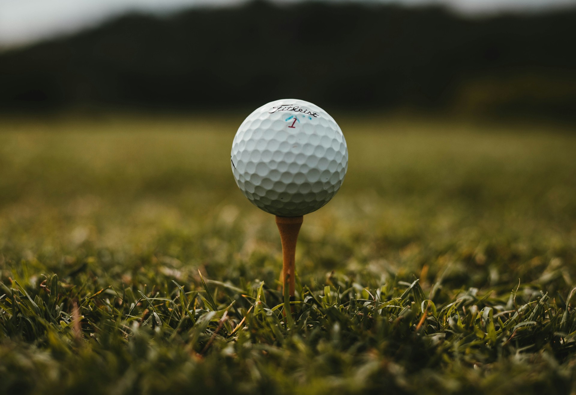Read more about the article Yhteenveto U.S. Open -turnauksesta 2024